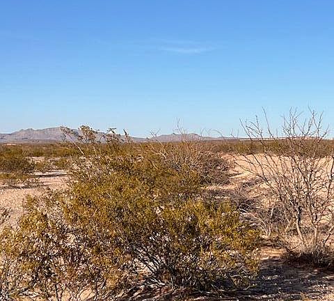 2nd image of Fort Hancock