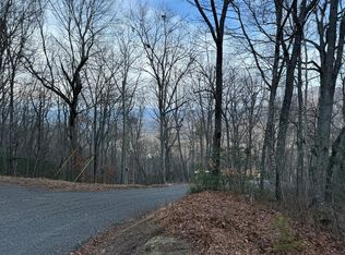 20 Vail Pass Rd, Whittier, NC 28789