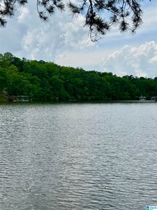 2 Old Highway 431 #1, Wedowee, AL, 36278