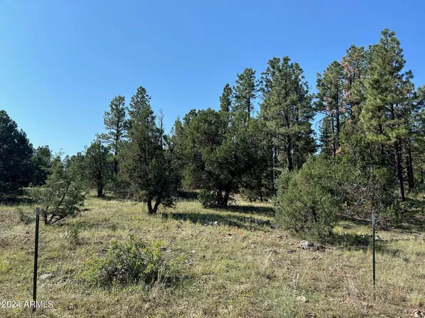 4 N3305 -- #001, Vernon, AZ 85940