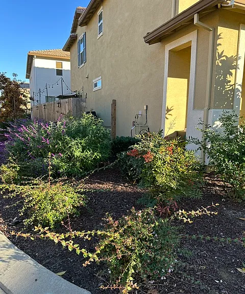 Front and side yard maintained by HOA gardeners on a weekly basis.