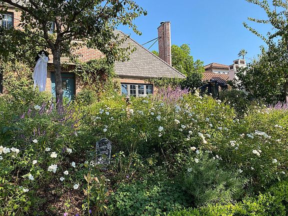 3rd image of 564 Wilcox Ave