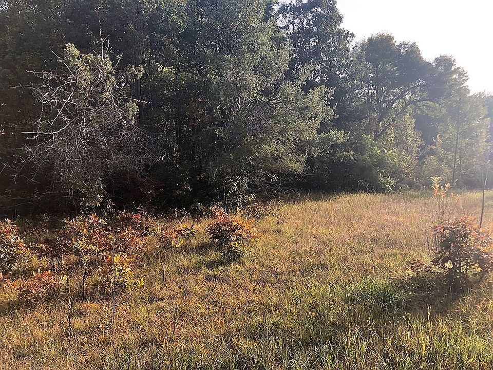 1st image of Big Pine Trl