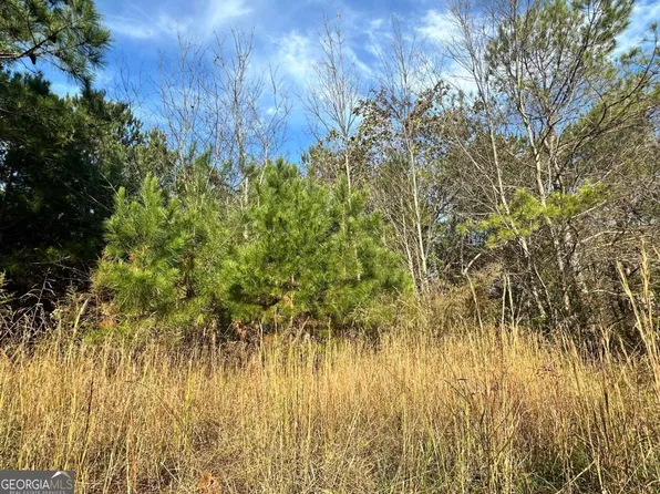 0 Ambrose Dr Lot 98, Jasper, GA 30143