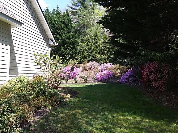 3rd image of 102 White Cedar Ln