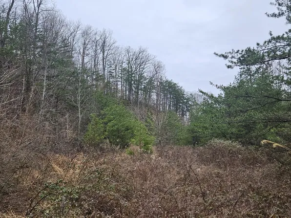 0 Trace Branch Rd, Heidrick, KY 40949