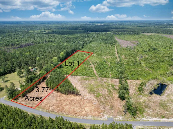 TBD Bellaire Dr. Lot 1, Nichols, SC 29581