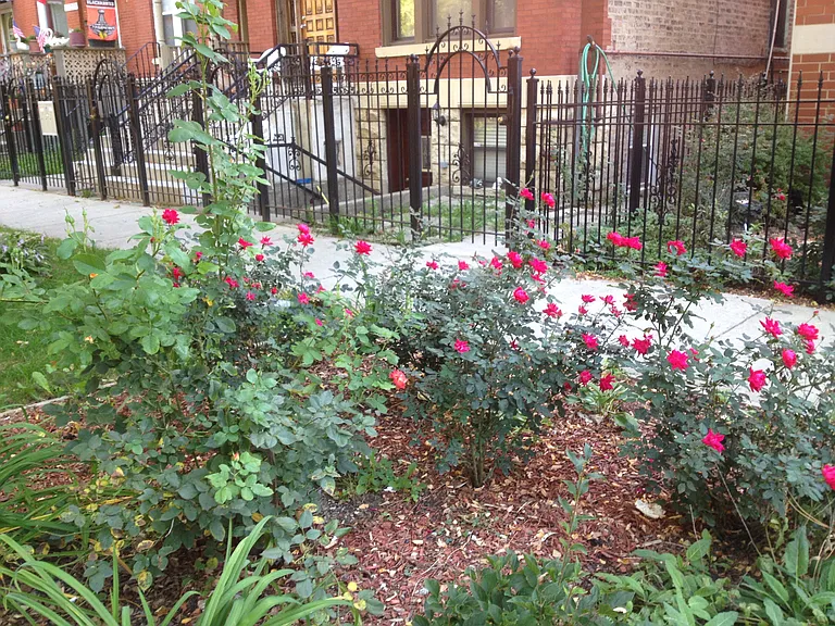 739 S Claremont Ave — Photo 20
