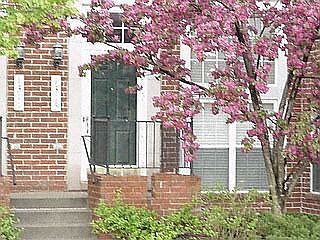 1st image of 1315 S Washington Ave #1