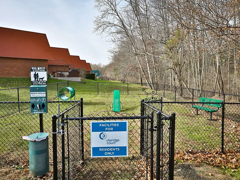 Dog Park