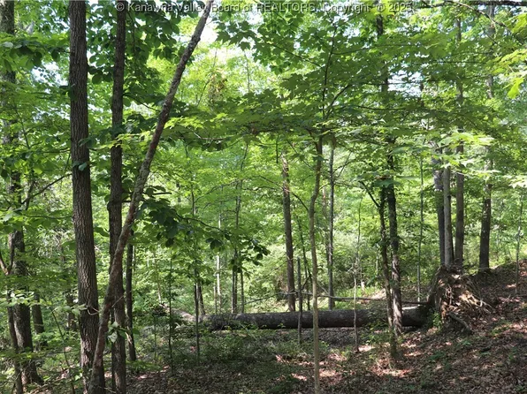 3 Walker Rdg, Walton, WV 25286