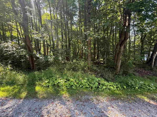 Tbd Kimberly Ln, Kingwood, WV 26537