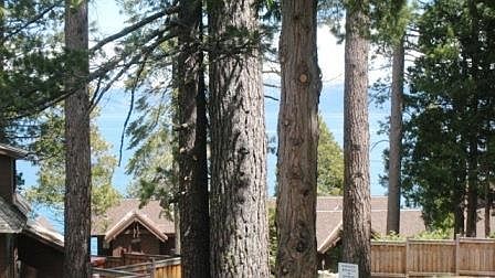 2nd image of 7021 Highway 89 #2