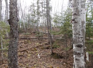 Tbd Maple Dr, Michigamme, MI 49861