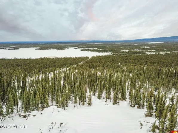 L8 Lou Anne Ln, Gakona, AK 99586