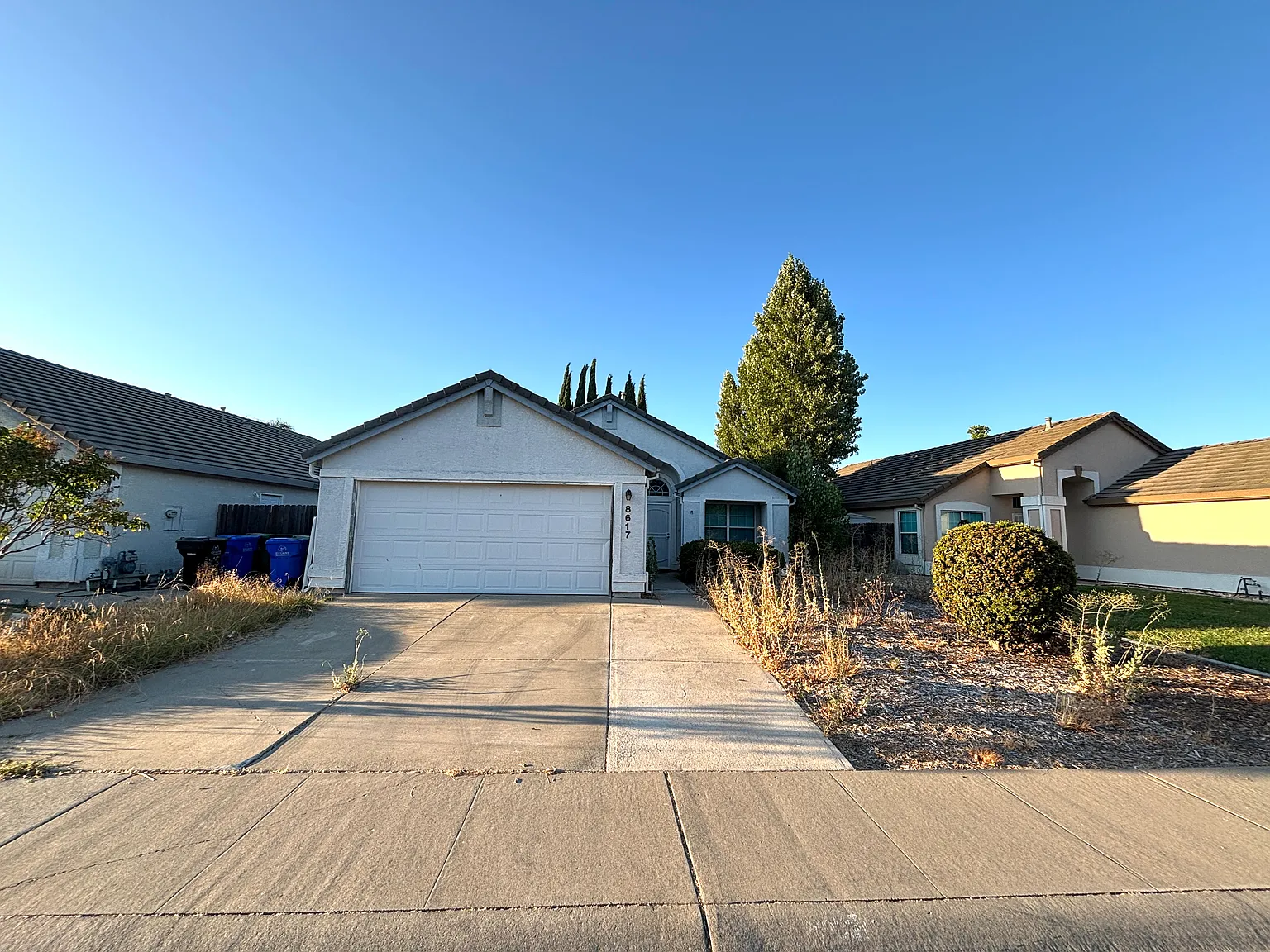 8617 Black Kite Dr photo 1