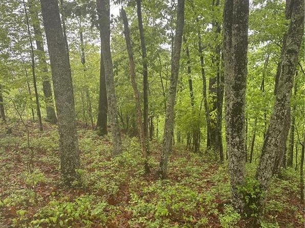 1417 Foxhound Trl NE #1417, Ranger, GA 30734