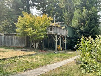 390 South Rd, Scotia, CA, 95565