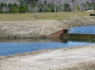 166 Sycamore Lakes Dr, Wallace, NC 28466