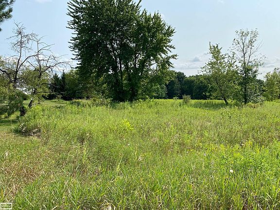 5th image of 37 Mile Rd