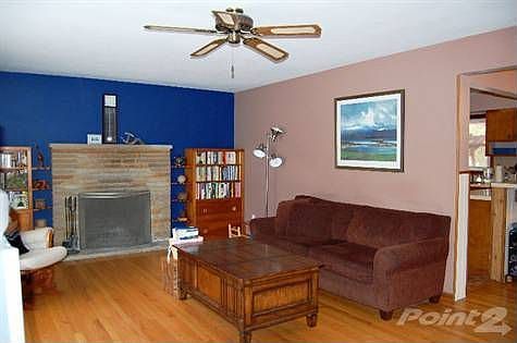 Wood-burning fireplace