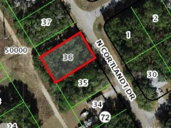 9094 N Cortlandt Dr, Citrus Springs, FL 34434