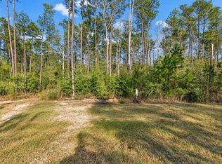 10721 Ruger Rd Lot 1, Willis, TX 77378