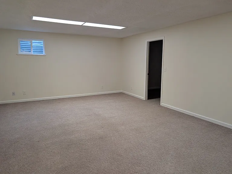 Basement living/rec room