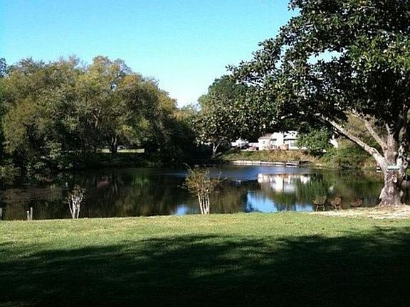 Back Yard with fresh water spring pond