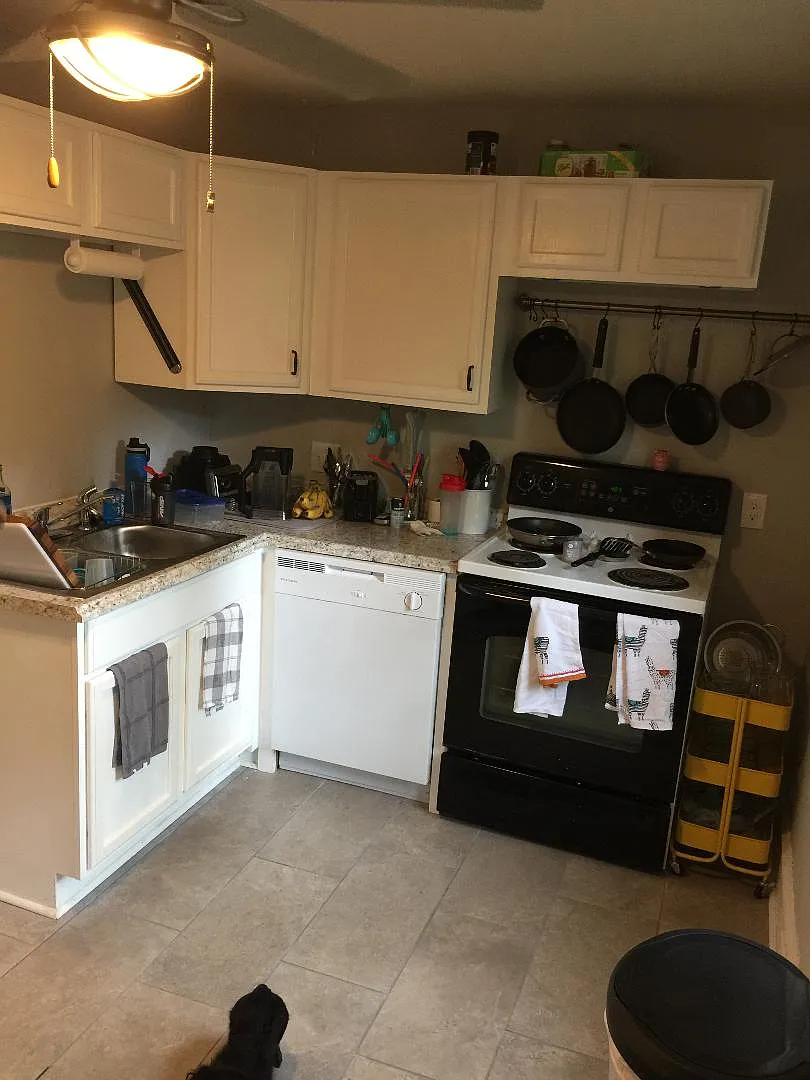 1 bed, $1,200 — Photo 2