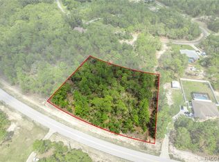 4298 W Mustang Blvd, Beverly Hills, FL 34465