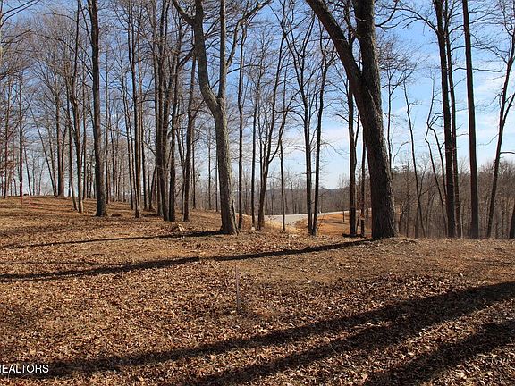 3rd image of Hickory Way