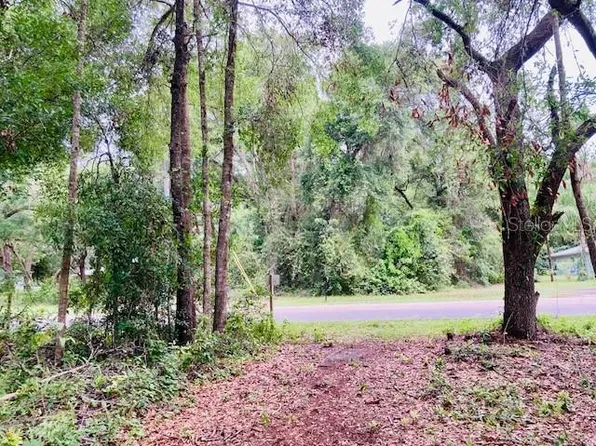 407 Raulerson Rd, Seville, FL 32190