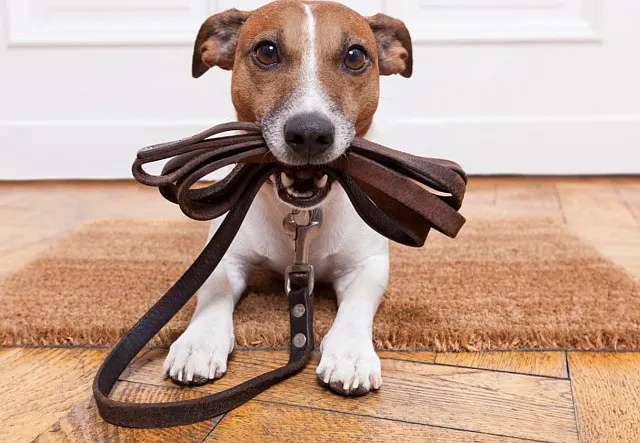 Landing at Riverlake — Photo 15