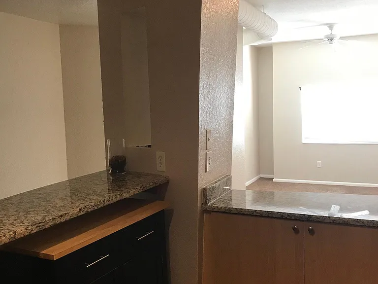 520 S Armenia Ave #1239G — Photo 4
