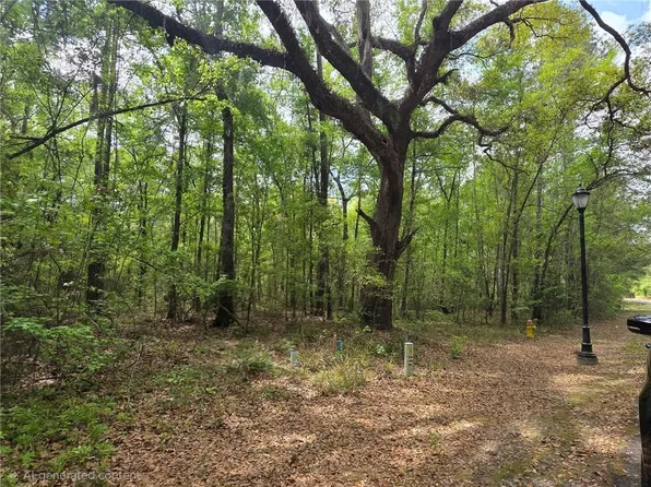 LOT 7 Saint Andrews Way, Woodbine, GA 31569