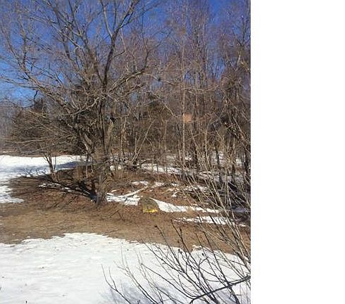 Spacious lightly wooded bac...