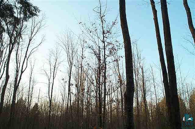 2nd image of Lot 5 Mineral Lake Rd