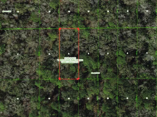 Unassigned Lot 3, Wesley Chapel, FL 33544