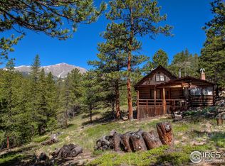 1217 Big Owl Rd, Allenspark, CO 80510