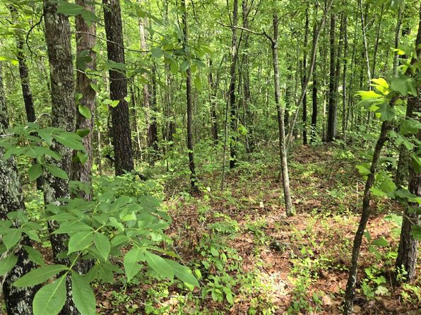 0 Cragford Rd #0, Ashland, AL 36251