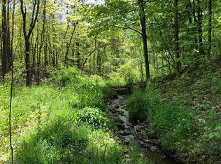 Gypsy Camp Hollow Rd, Tyrone, PA 16686