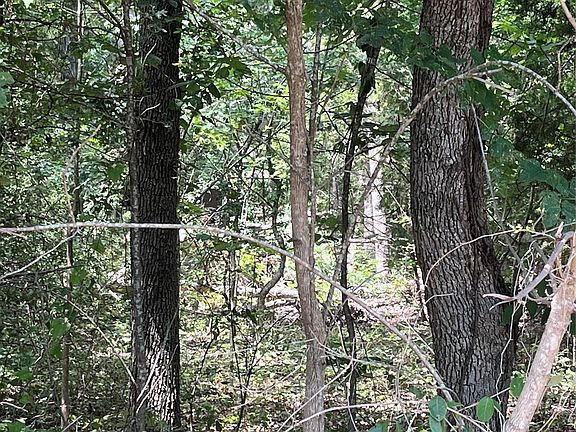 5th image of 106 Red Bluff Loop