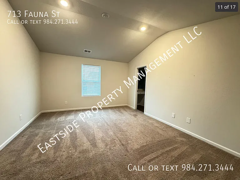 713 Fauna St — Photo 11