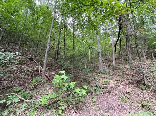 1127 Clingmans Vw, Sevierville, TN 37876