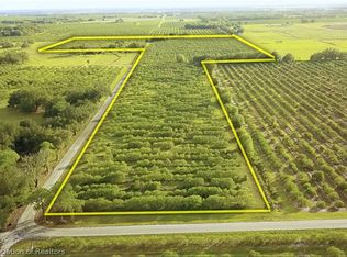 Rhynn Rd, Wauchula, FL 33873