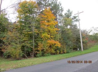 672 Hazen St, Paw Paw, MI 49079