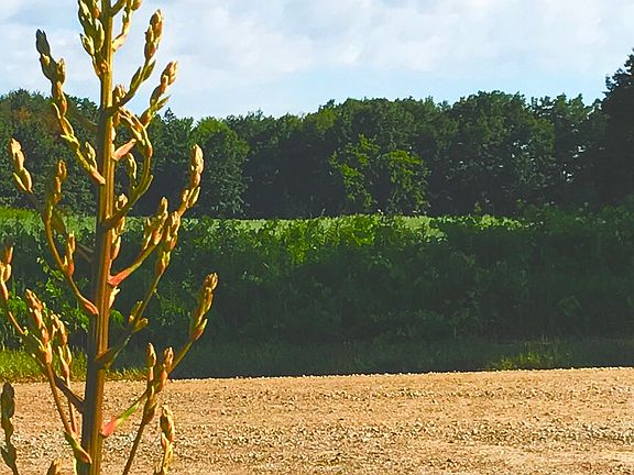 View from front door