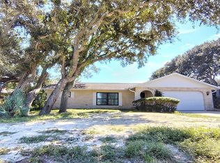 4790 Michael Ln, Ponce Inlet, FL 32127