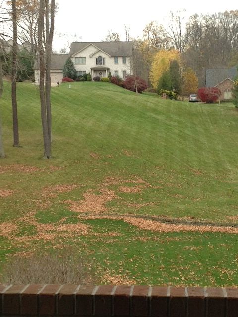 1st image of 146 Greenville Cir